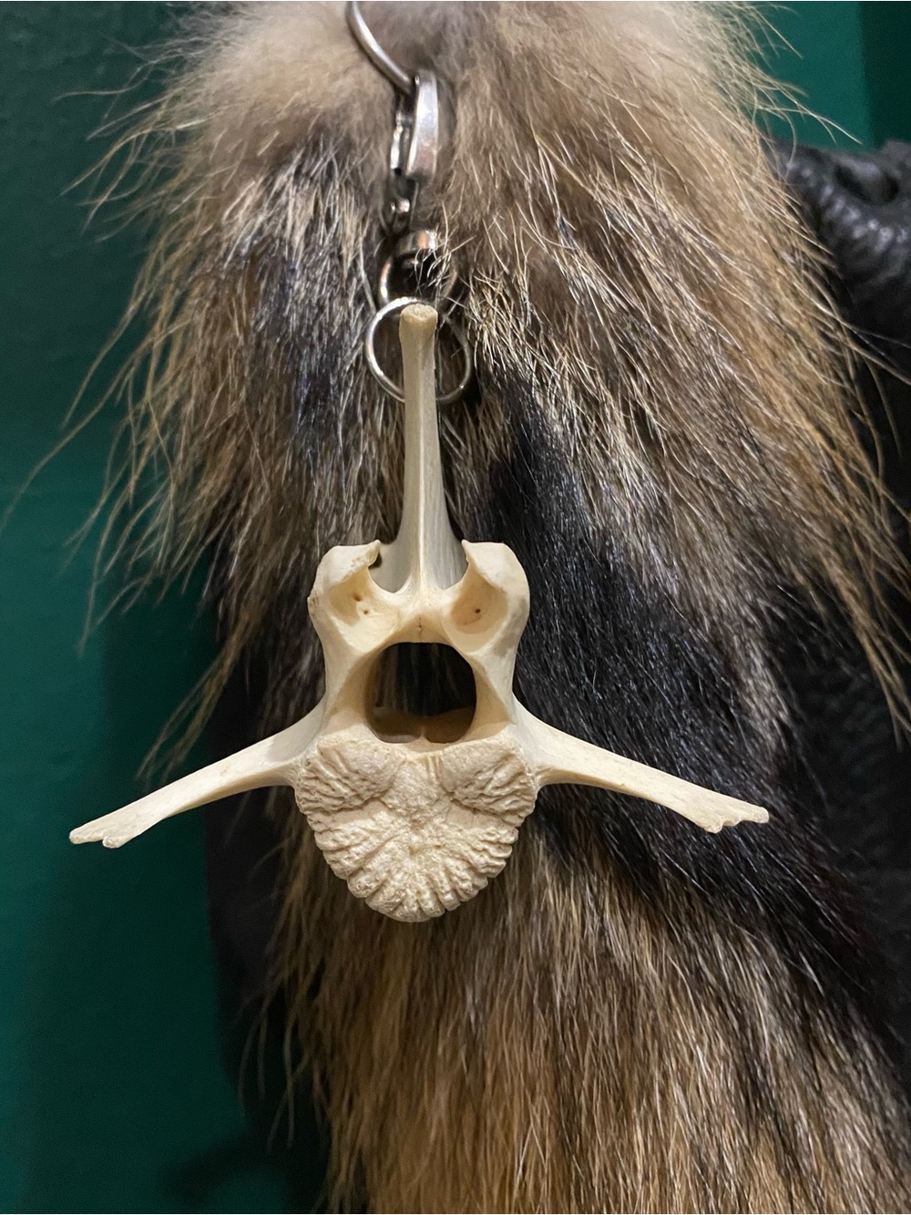 Deer Vertebrae Bone Keychain